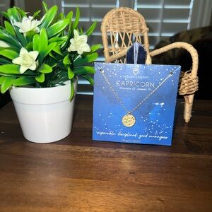 Capricorn Zodiac Sign Necklace 14k dipped